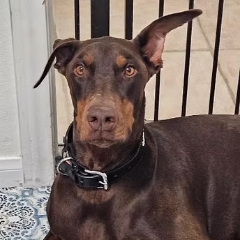 Coco